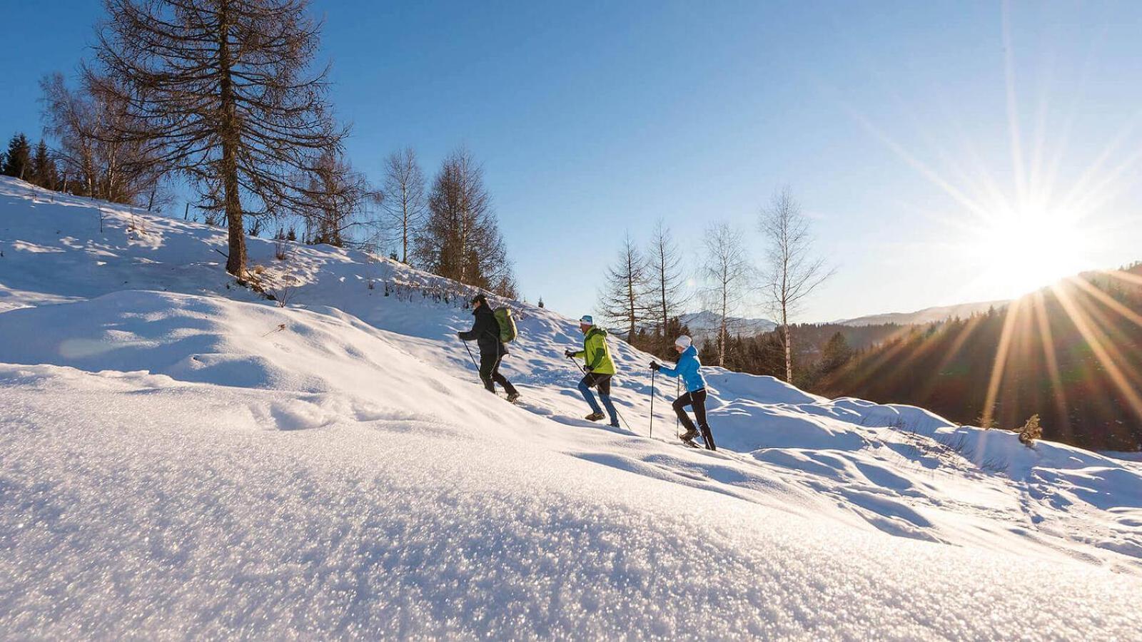 Pension Gasthof Арриах Экстерьер фото